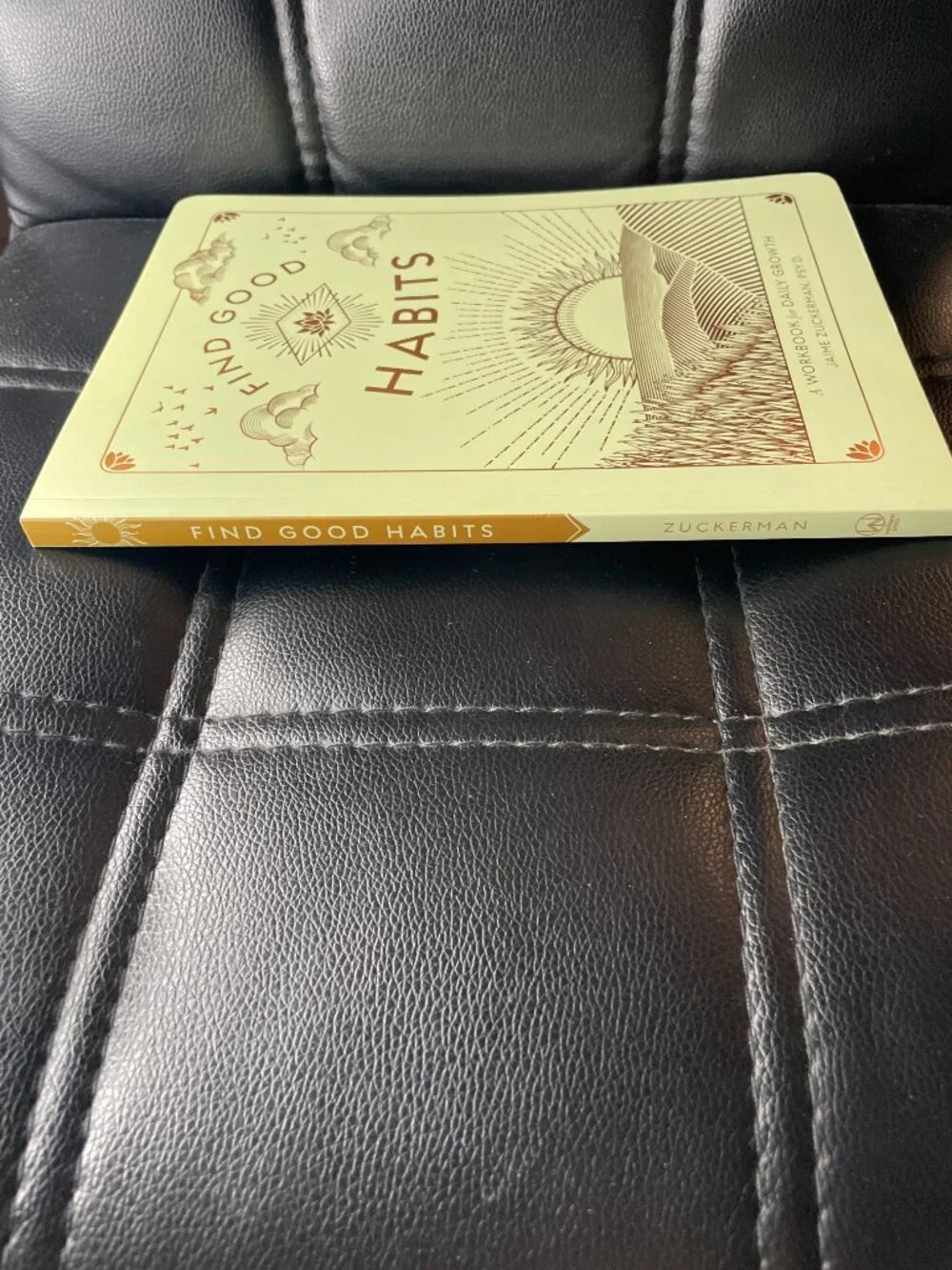 Find Good Habits Workbook Paperback